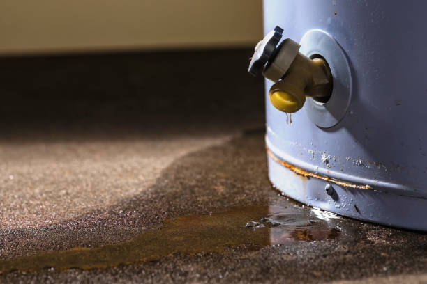 Best Sewage cleanup and water damage restoration  in Grinnell, IA
