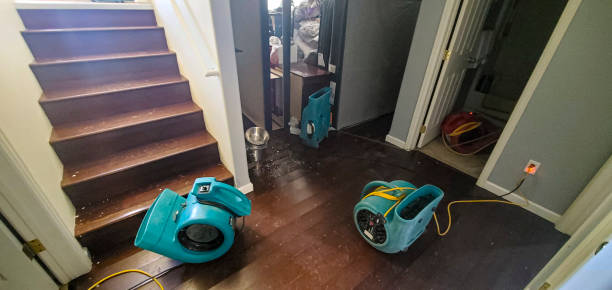  Grinnell, IA Water damage restoration Pros