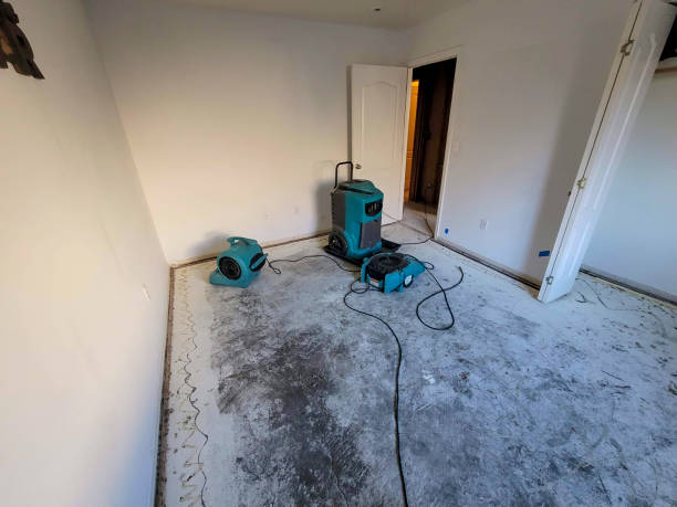 Best Local water damage restoration  in Grinnell, IA