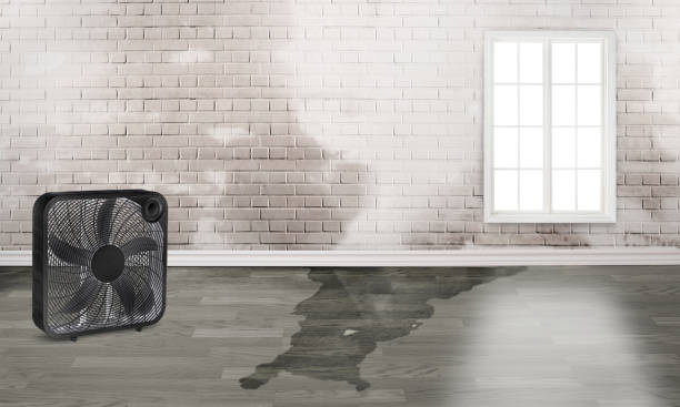 Best Water damage cleanup near me  in Grinnell, IA