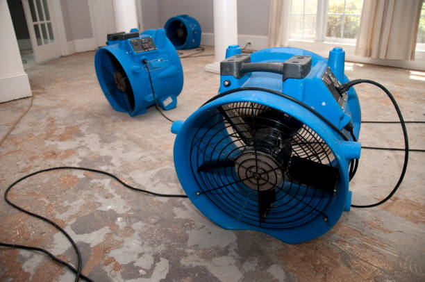 Best 24-hour water damage restoration  in Grinnell, IA