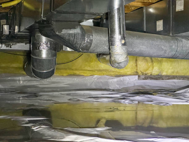 Best Water damage restoration mold remediation  in Grinnell, IA