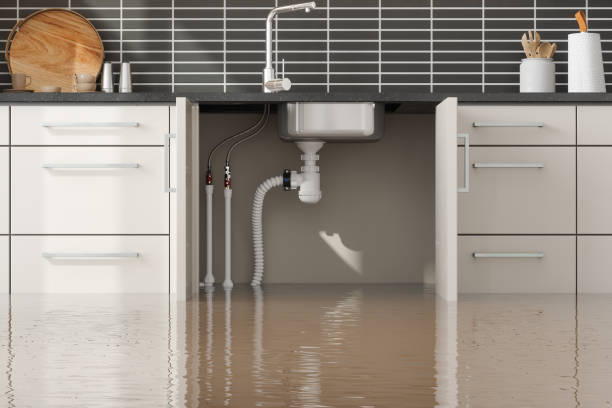 Best Residential water damage restoration  in Grinnell, IA