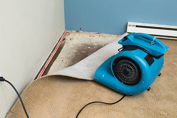 Water damage restoration mold remediation in IA